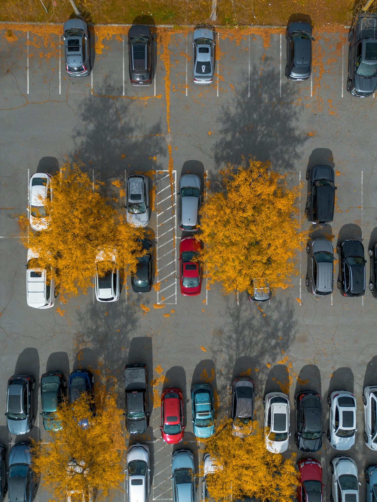 How To Save Money On Airport Parking